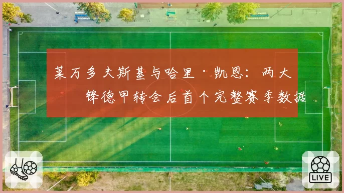 莱万多夫斯基与哈里·凯恩：两大神锋德甲转会后首个完整赛季数据盘点