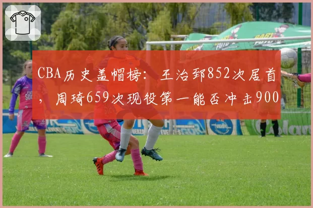 CBA历史盖帽榜：王治郅852次居首，周琦659次现役第一能否冲击900？