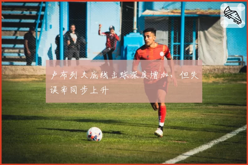 卢布列夫底线击球深度增加，但失误率同步上升