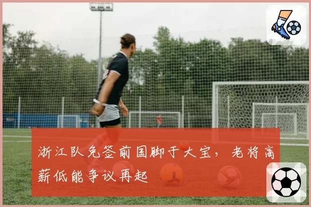 浙江队免签前国脚于大宝，老将高薪低能争议再起