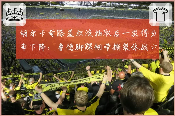 胡尔卡奇膝盖积液抽取后一发得分率下降,鲁德脚踝韧带撕裂休战六周