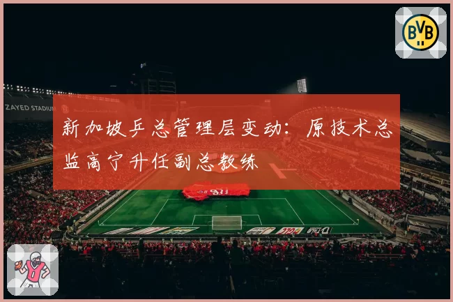 新加坡乒总管理层变动:原技术总监高宁升任副总教练