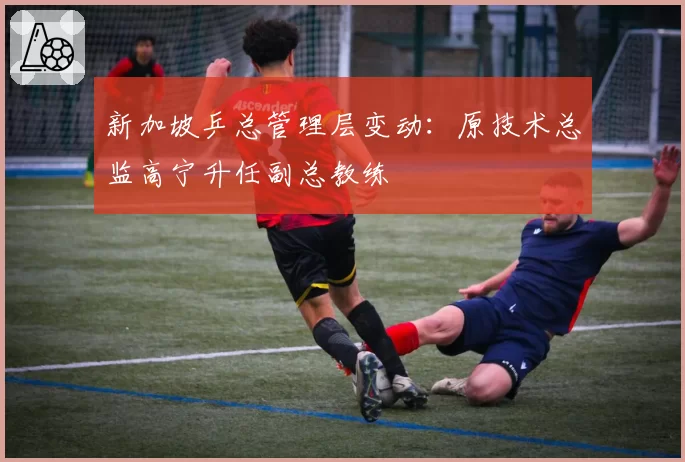 新加坡乒总管理层变动：原技术总监高宁升任副总教练