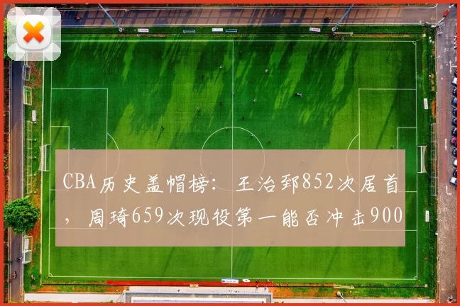 CBA历史盖帽榜：王治郅852次居首，周琦659次现役第一能否冲击900？